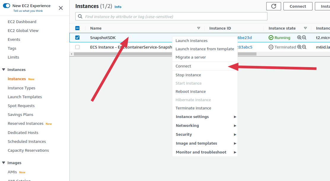 Launch Ubuntu Instance