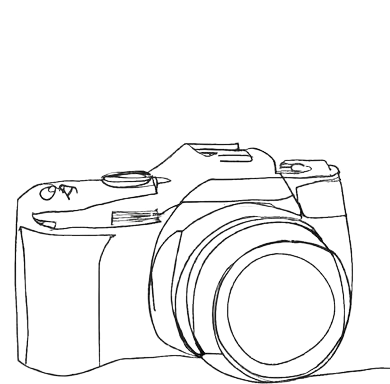 Snapshot Guides